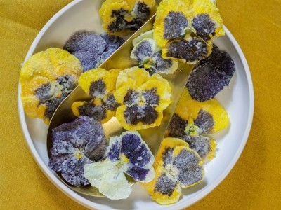 Free-use-sugared-flowers-1.jpg