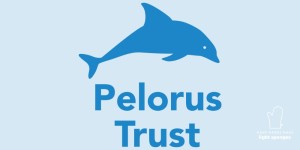 Pelorus-Trust-2x1.jpg